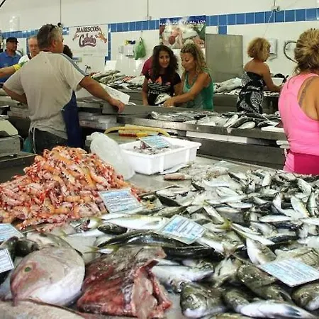 Coluna Mar *